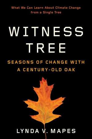 Witness Tree – Seasons of Change with a Century–Old Oak de Lynda V. Mapes