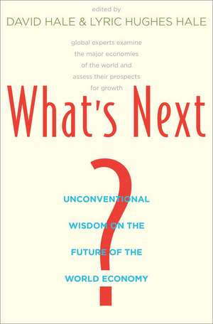 What's Next?: Unconventional Wisdom on the Future of the World Economy de David Hale