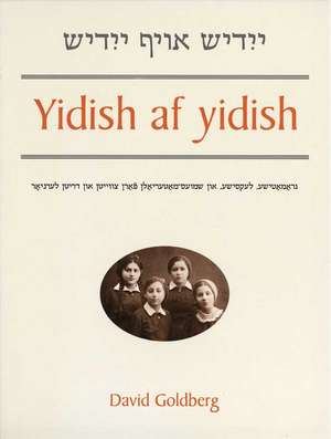 Yidish af yidish: Grammatical, Lexical, and Conversational Materials for the Second and Third Years of Study de David Goldberg