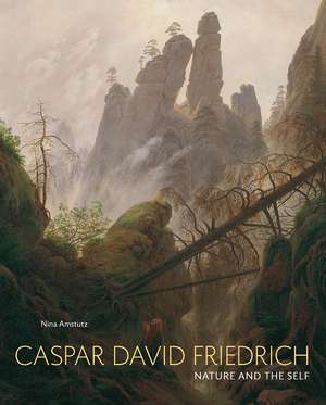 Caspar David Friedrich: Nature and the Self de Nina Amstutz