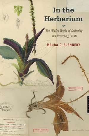 In the Herbarium: The Hidden World of Collecting and Preserving Plants de Maura C. Flannery