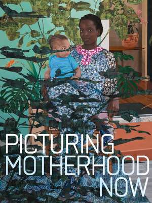 Picturing Motherhood Now de Emily Liebert