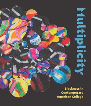 Multiplicity: Blackness in Contemporary American Collage de Kathryn E. Delmez