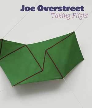 Joe Overstreet: Taking Flight de Natalie Dupêcher