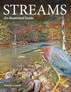 Streams: An Illustrated Guide de Patrick J. Lynch