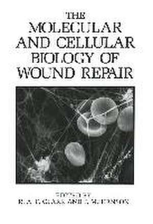 The Molecular and Cellular Biology of Wound Repair de Clark, R. a. F.