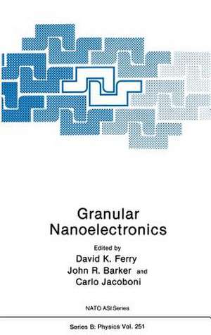 Granular Nanoelectronics de David K. Ferry