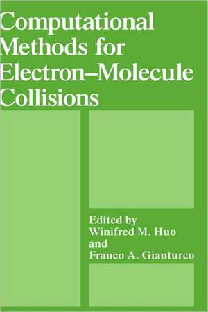 Computational Methods for Electron—Molecule Collisions de Franco A. Gianturco