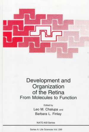 Development and Organization of the Retina: From Molecules to Function de North Atlantic Treaty Organization