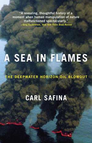 A Sea in Flames: The Deepwater Horizon Oil Blowout de Carl Safina