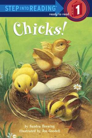 Chicks! de Sandra Horning