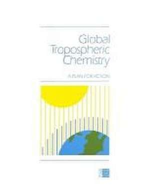 Global Tropospheric Chemistry de National Research Council