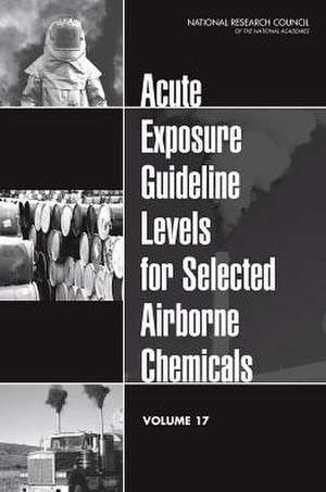 Acute Exposure Guideline Levels for Selected Airborne Chemicals, Volume 17 de Committee on Acute Exposure Guideline Le