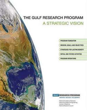 The Gulf Research Program: A Strategic Vision de Advisory Group