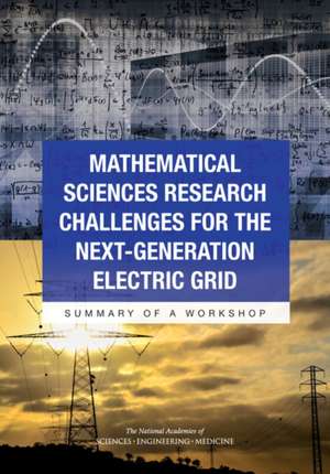 Mathematical Sciences Research Challenges for the Next-Generation Electric Grid: Summary of a Workshop de Committee on Analytical Research Foundat