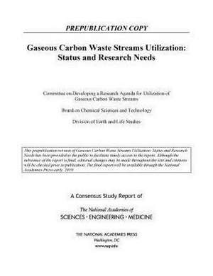 Gaseous Carbon Waste Streams Utilization de National Academies of Sciences Engineering and Medicine