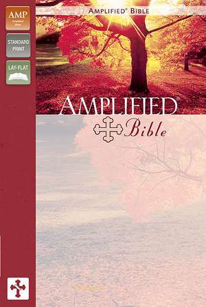 Amplified Bible-Am de Zondervan Bibles