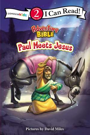 Paul Meets Jesus: Level 2 de David Miles