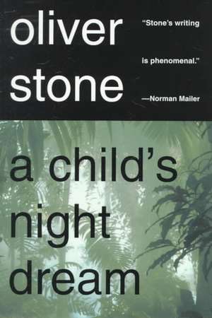 A Child's Night Dream de Oliver Stone