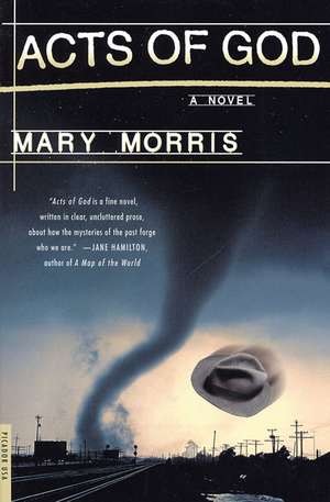 Acts of God de Mary Morris