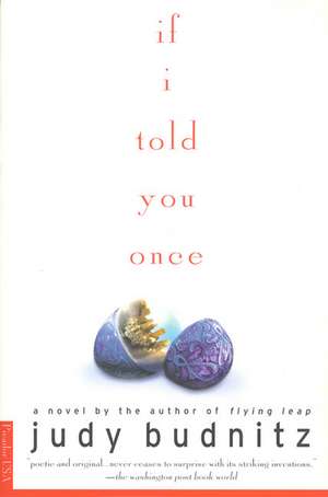 If I Told You Once de Judy Budnitz