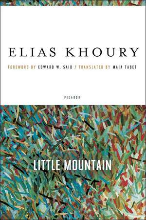 Little Mountain de Elias Khoury