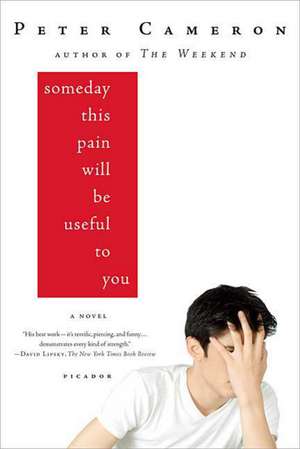 Someday This Pain Will Be Useful to You de Peter Cameron