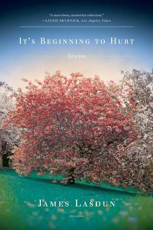 It's Beginning to Hurt de James Lasdun