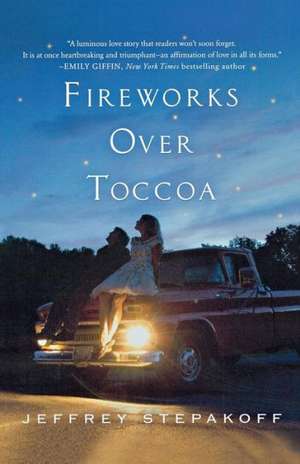 Fireworks Over Toccoa de Jeffrey Stepakoff