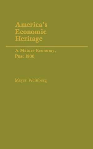 Mature Economy V2 de Meyer Weinberg