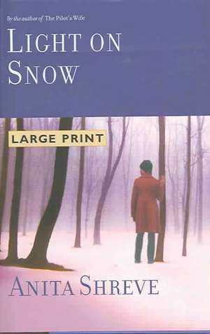 Light on Snow de Anita Shreve