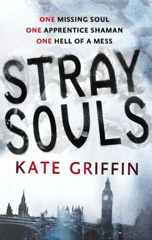 Stray Souls de Kate Griffin