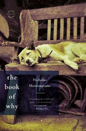 The Book of Why: A Novel de Nicholas Montemarano