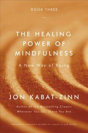 The Healing Power of Mindfulness: A New Way of Being de Jon Kabat-Zinn