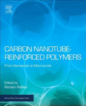 Carbon Nanotube-Reinforced Polymers: From Nanoscale to Macroscale de Roham Rafiee