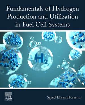 Fundamentals of Hydrogen Production and Utilization in Fuel Cell Systems de Seyed Ehsan Hosseini