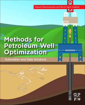 Methods for Petroleum Well Optimization: Automation and Data Solutions de Rasool Khosravanian