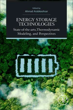 Future Grid-Scale Energy Storage Solutions: Mechanical and Chemical Technologies and Principles de Ahmad Arabkoohsar