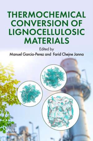 Thermochemical Conversion of Lignocellulosic Materials: Theory, Design, and Applications for the Future de Manuel Garcia-Perez