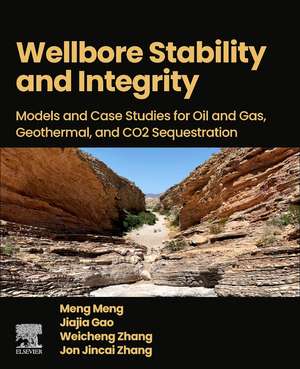 Wellbore Stability and Integrity: Models and Case Studies for Oil and Gas, Geothermal, and CO2 Sequestration de Meng Meng