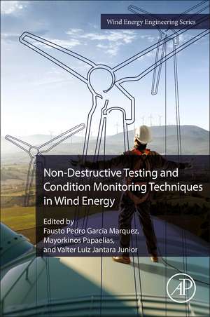 Non-Destructive Testing and Condition Monitoring Techniques in Wind Energy de Fausto Pedro Garcia Marquez