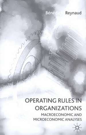 Operating Rules in Organizations: Macroeconomic and Microeconomic Analyses de B. Reynaud