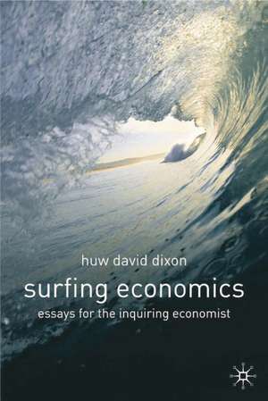 Surfing Economics de Huw David Dixon