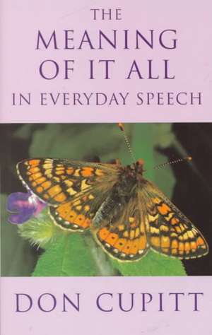 Meaning of It All in Everyday Speech de Don Cupitt