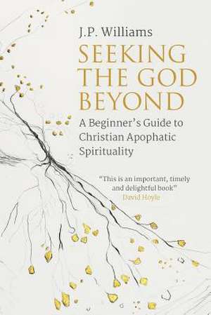 Seeking the God Beyond de J. P Williams