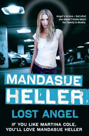 Lost Angel de Mandasue Heller