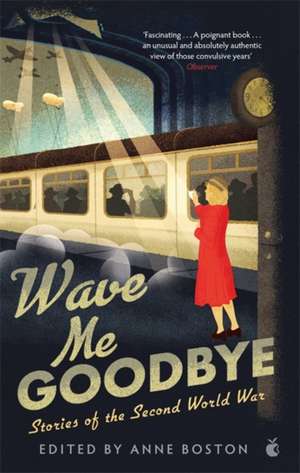 Wave Me Goodbye de Anne Boston