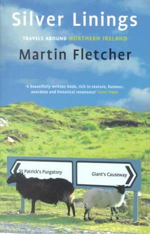 Silver Linings de Martin Fletcher