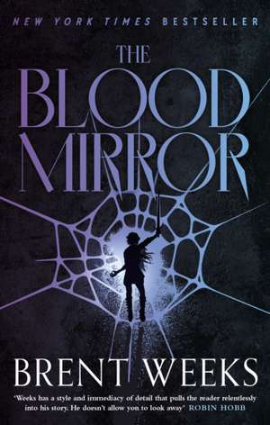 The Blood Mirror de Brent Weeks