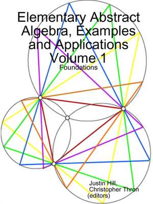 Elementary Abstract Algebra, Examples and Applications Volume 1 de Justin Hill